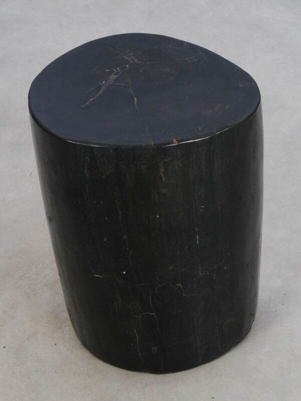 Side table petrified wood 49007