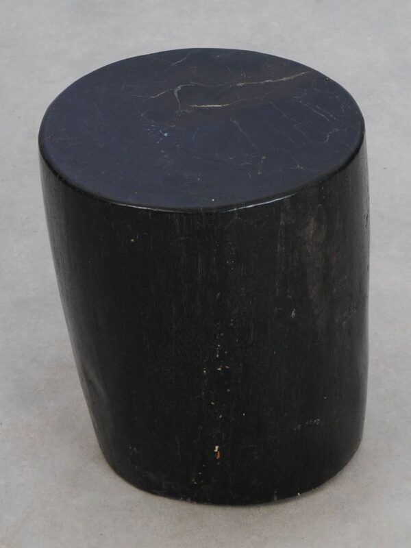 Side table petrified wood 49008