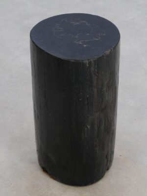 Side table petrified wood 49009