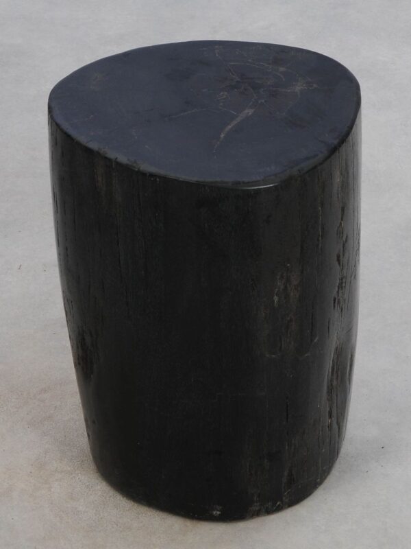 Side table petrified wood 49010