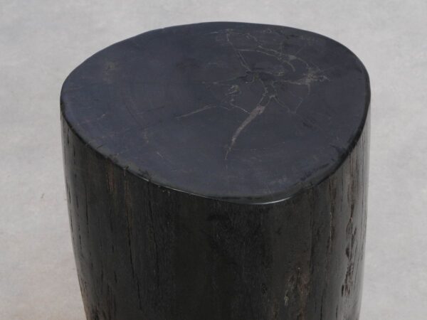Side table petrified wood 49010