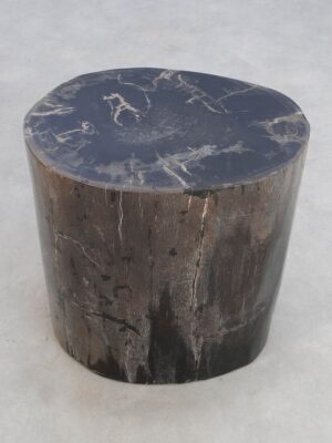 Side table petrified wood 49013