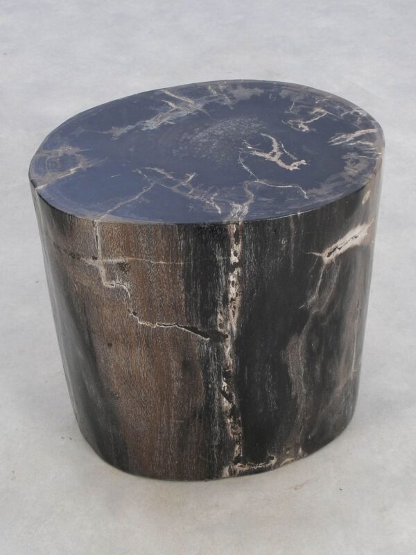 Side table petrified wood 49013