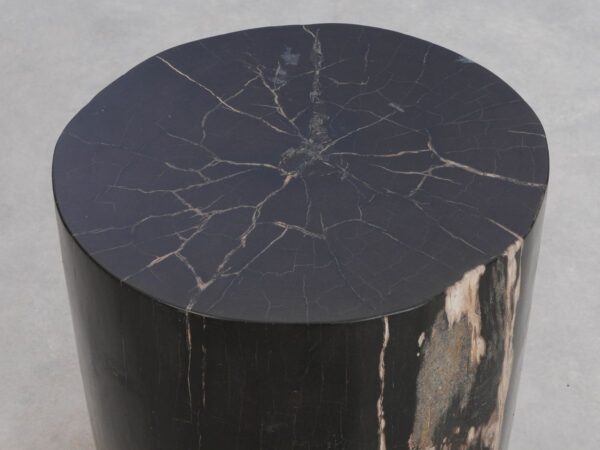 Side table petrified wood 49015