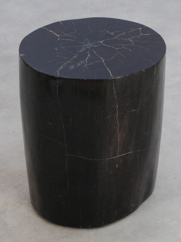 Side table petrified wood 49015