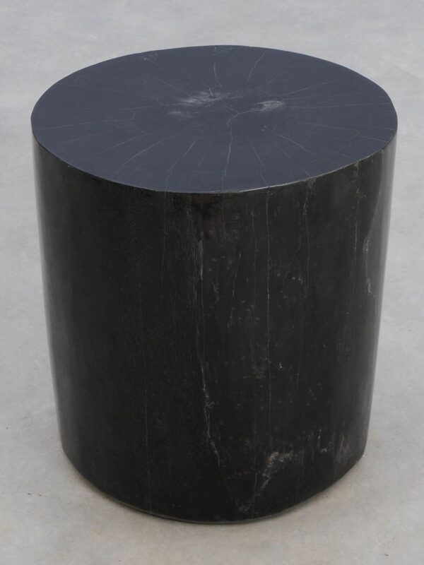 Side table petrified wood 49016