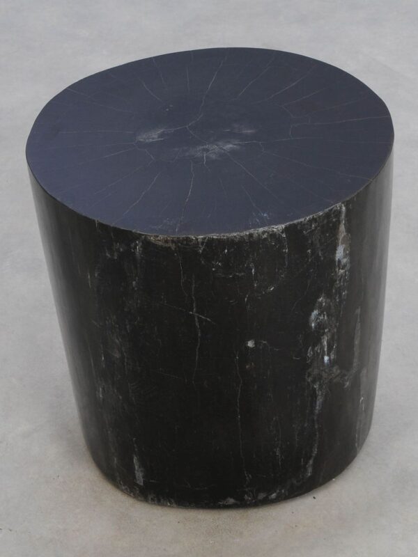 Side table petrified wood 49016