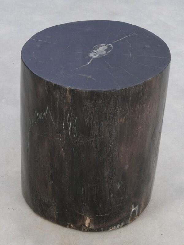 Side table petrified wood 49017