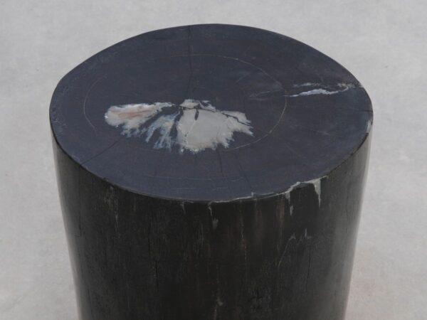 Side table petrified wood 49019