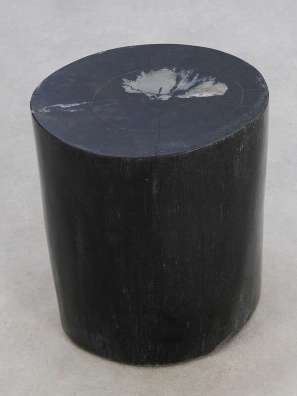 Side table petrified wood 49019