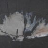 Side table petrified wood 49019