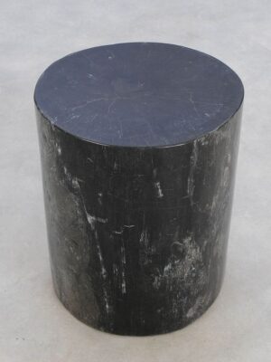 Side table petrified wood 49020