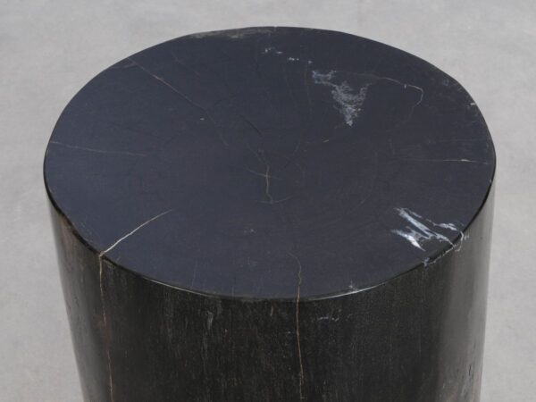 Side table petrified wood 49021
