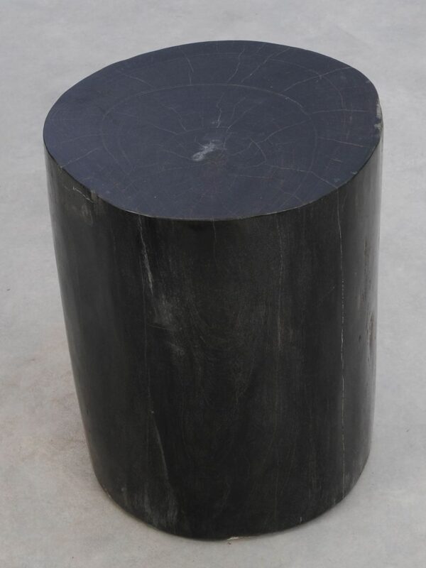 Side table petrified wood 49024