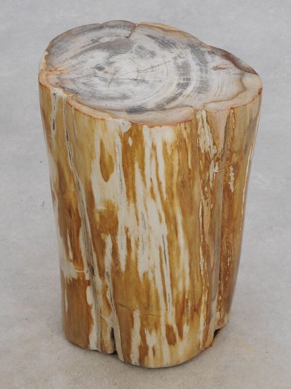 Side table petrified wood 49025