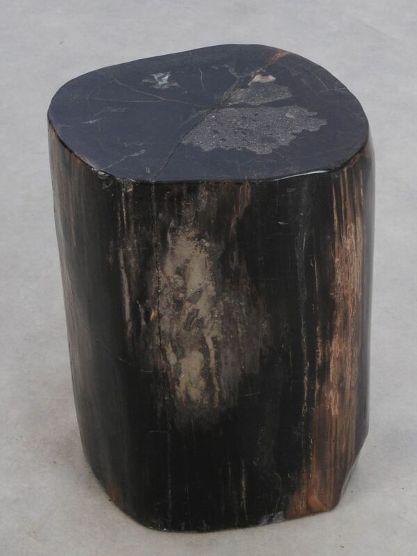 Side table petrified wood 49027