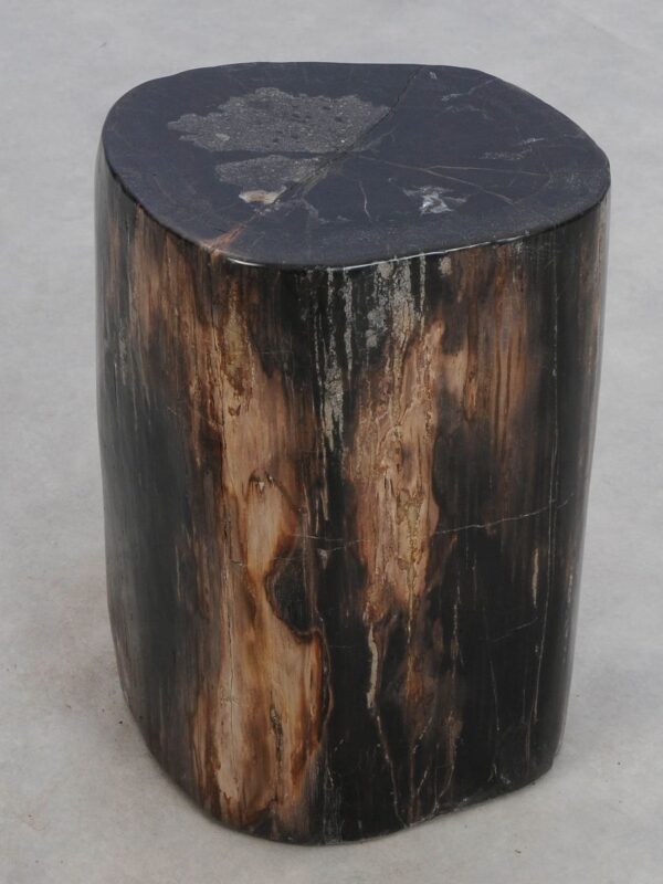 Side table petrified wood 49027