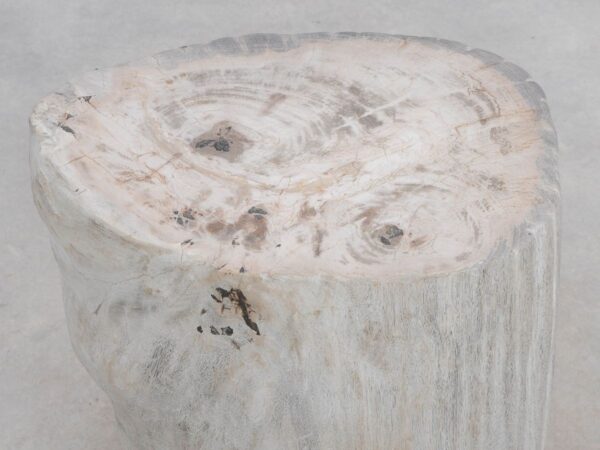 Side table petrified wood 49028