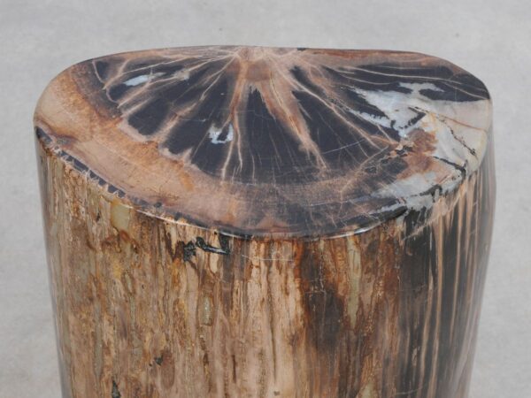 Side table petrified wood 49034