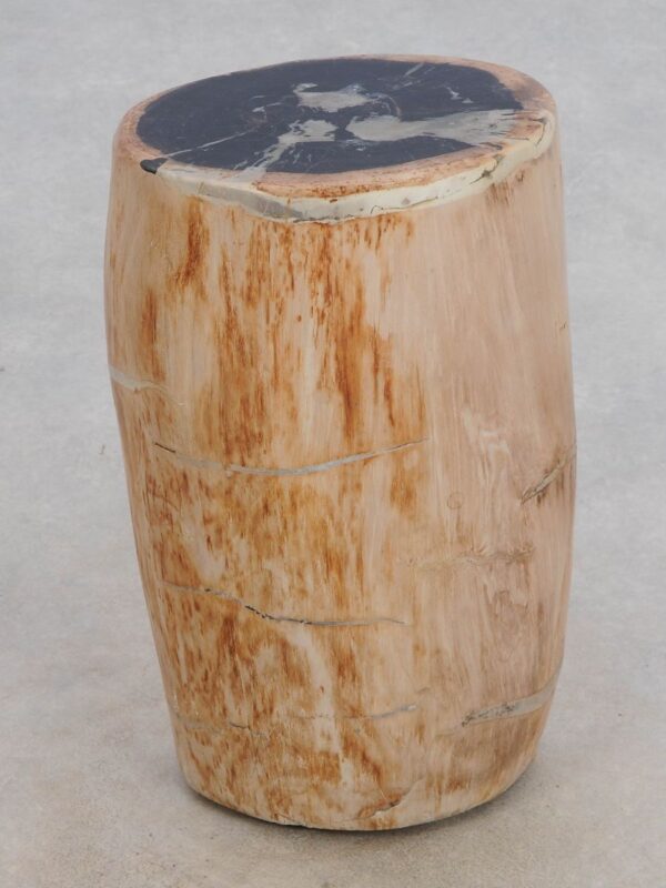 Side table petrified wood 49035