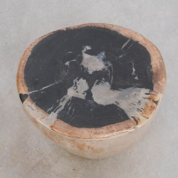 Side table petrified wood 49035