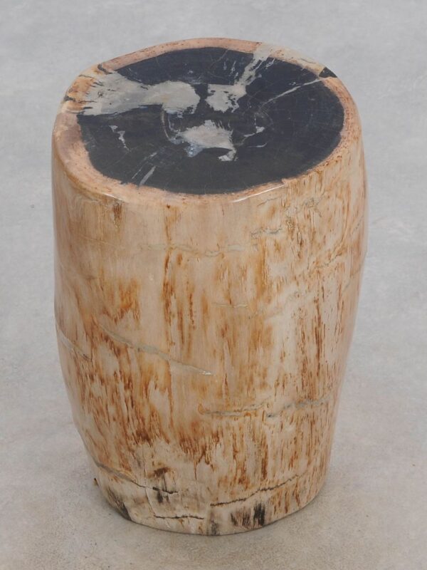 Side table petrified wood 49035