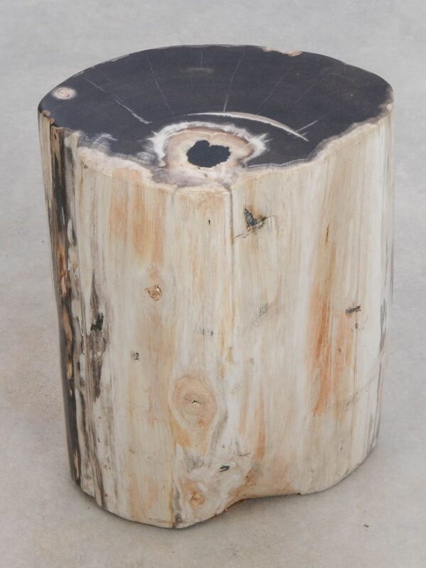 Side table petrified wood 49037