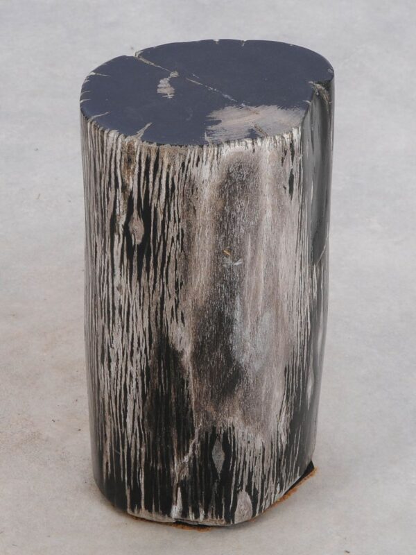 Side table petrified wood 49039