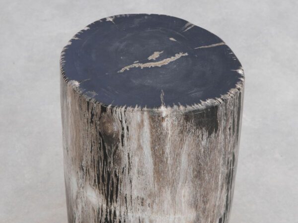 Side table petrified wood 49042