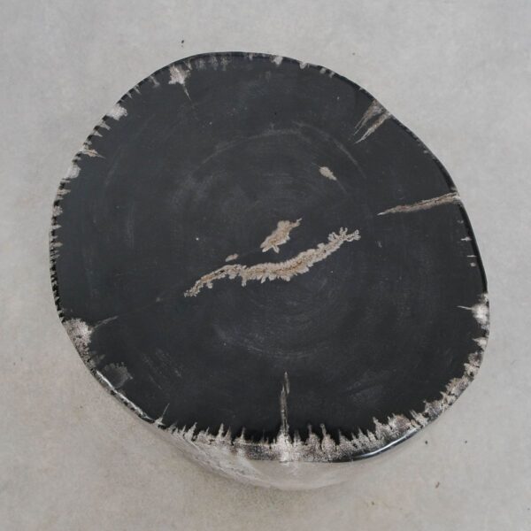 Side table petrified wood 49042