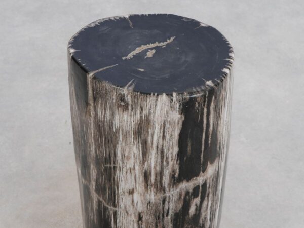 Side table petrified wood 49042