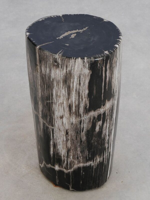 Side table petrified wood 49042