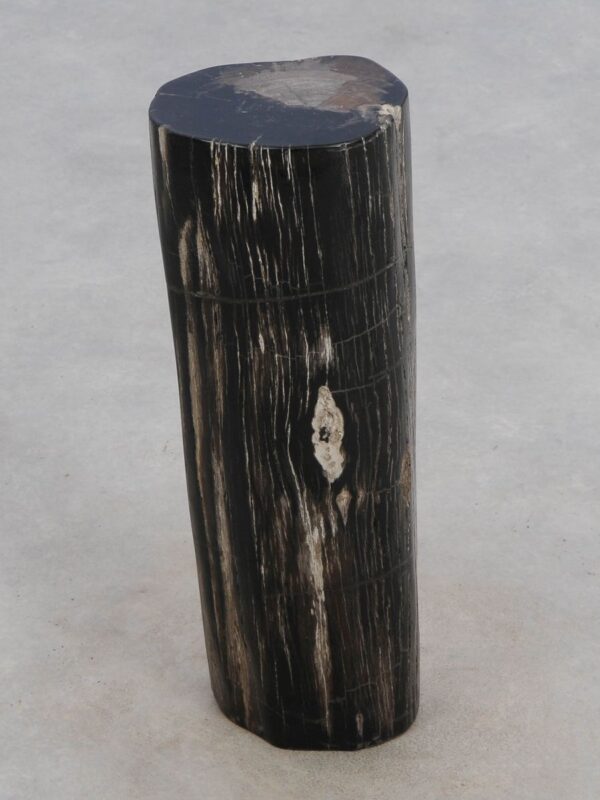 Side table petrified wood 49044