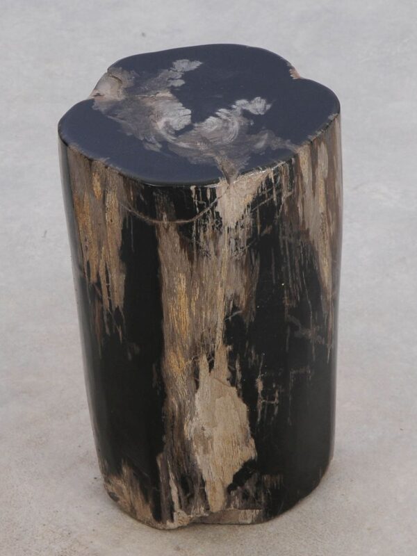 Side table petrified wood 49045