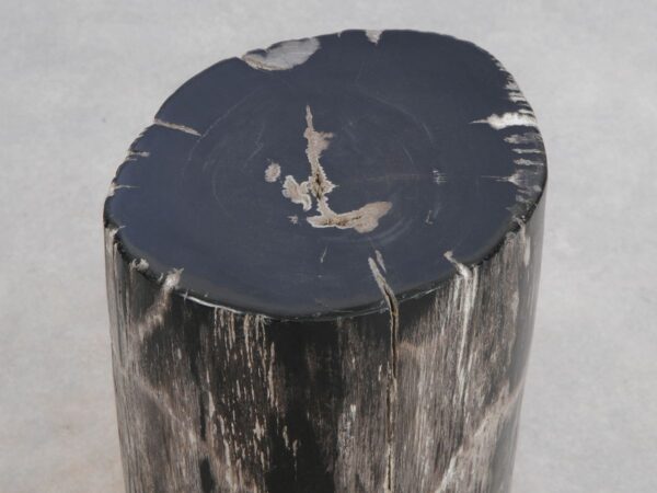 Side table petrified wood 49048