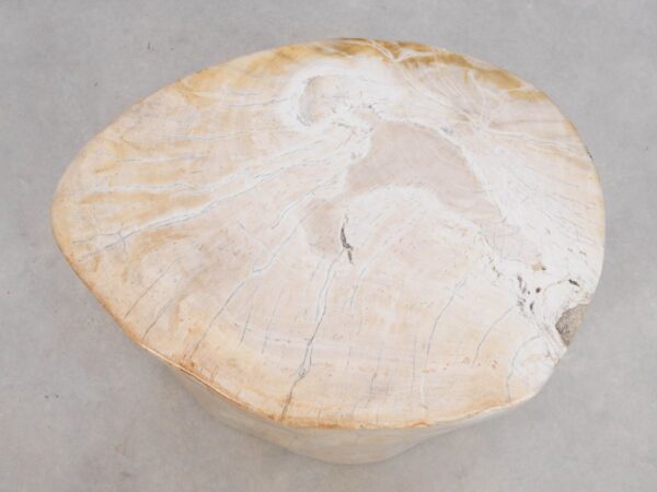 Side table petrified wood 49052