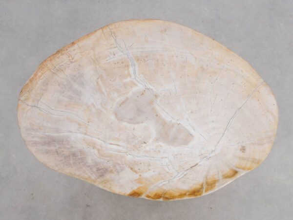 Side table petrified wood 49053