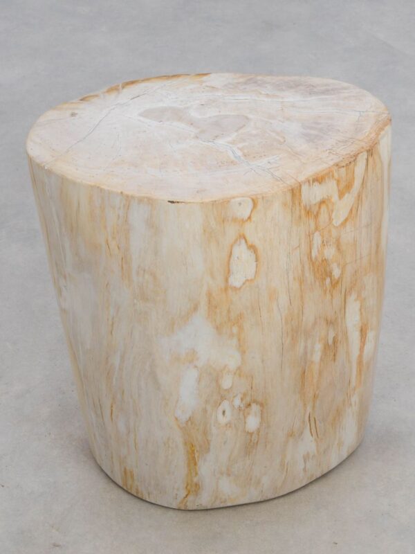 Side table petrified wood 49053