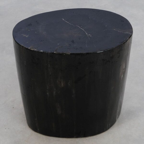Side table petrified wood 49054