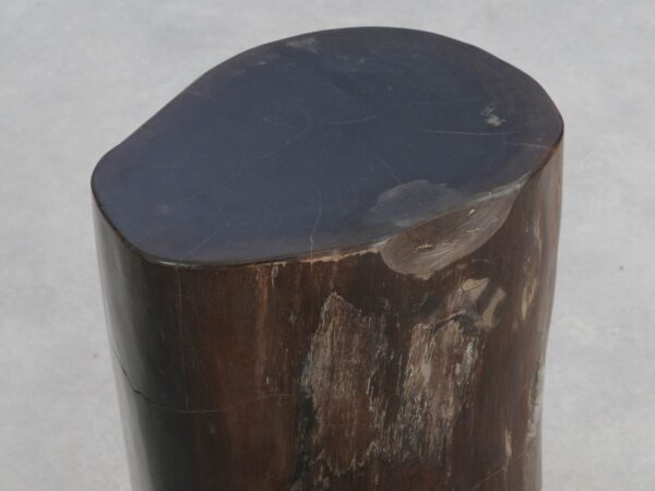 Side table petrified wood 49055