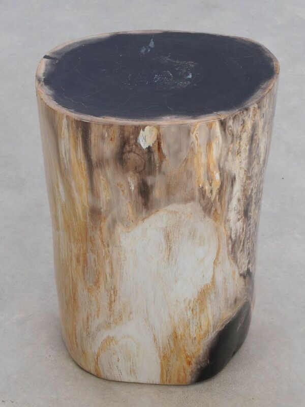 Side table petrified wood 49058