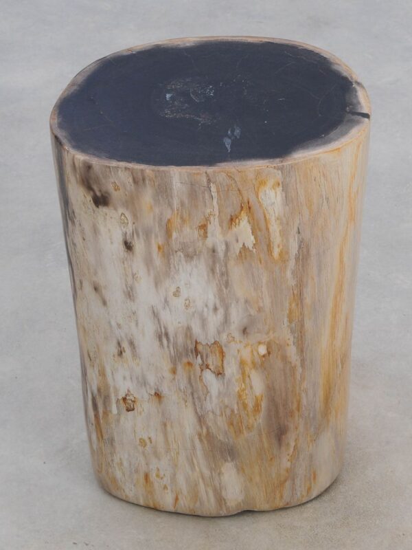 Side table petrified wood 49058