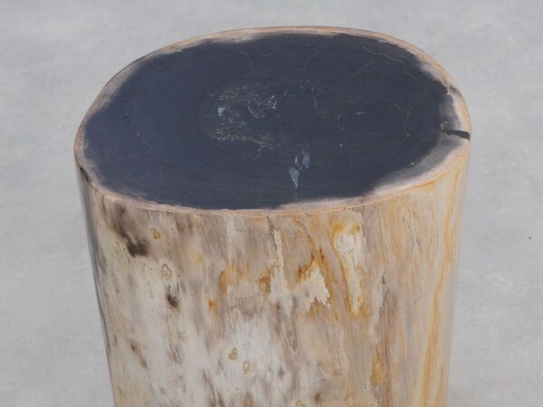 Side table petrified wood 49058