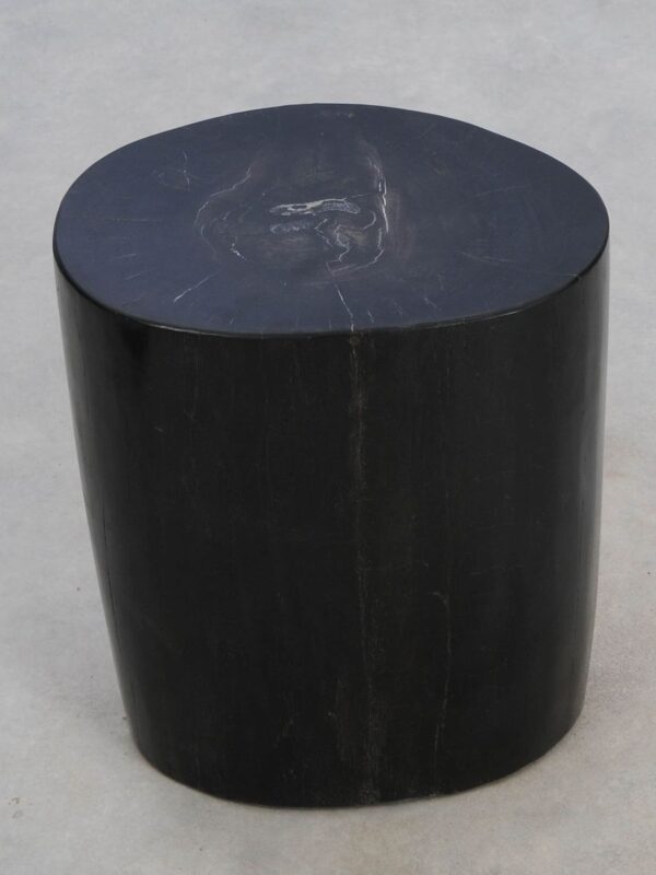 Side table petrified wood 49061