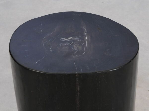 Side table petrified wood 49061