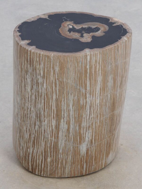 Side table petrified wood 49066