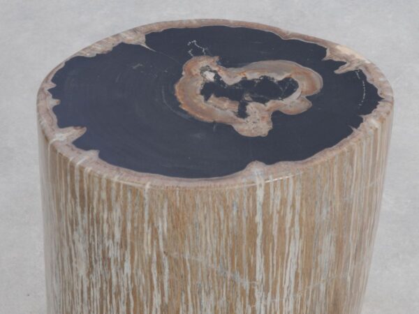 Side table petrified wood 49066
