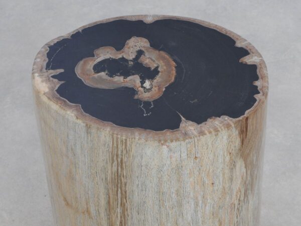 Side table petrified wood 49066