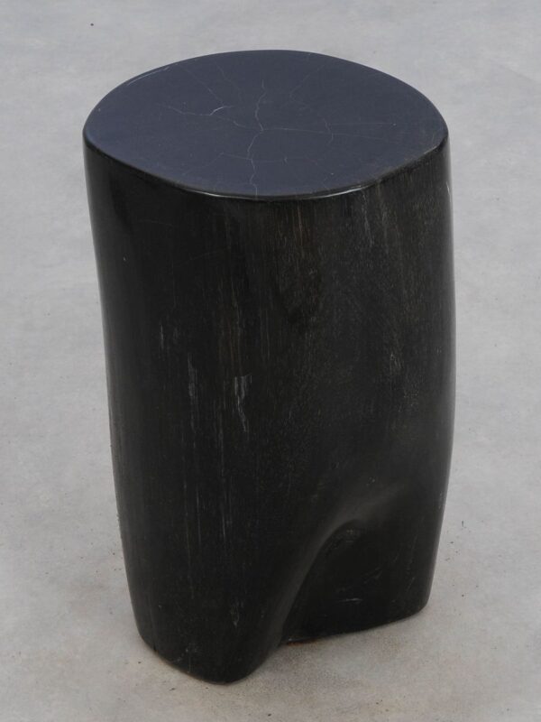 Side table petrified wood 49067
