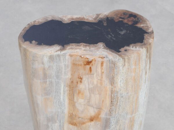 Side table petrified wood 49069